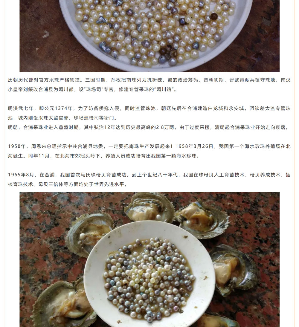 古老南珠，綻放異彩