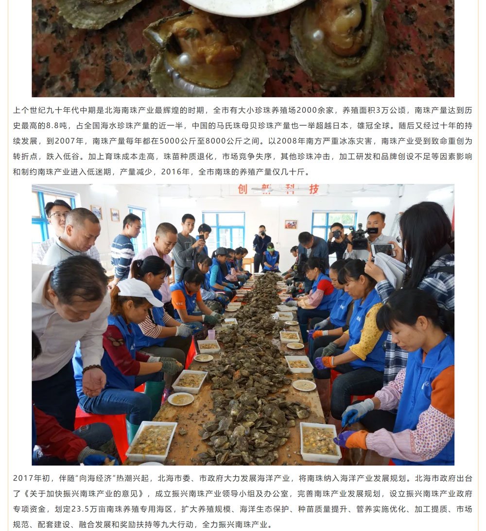 古老南珠，綻放異彩