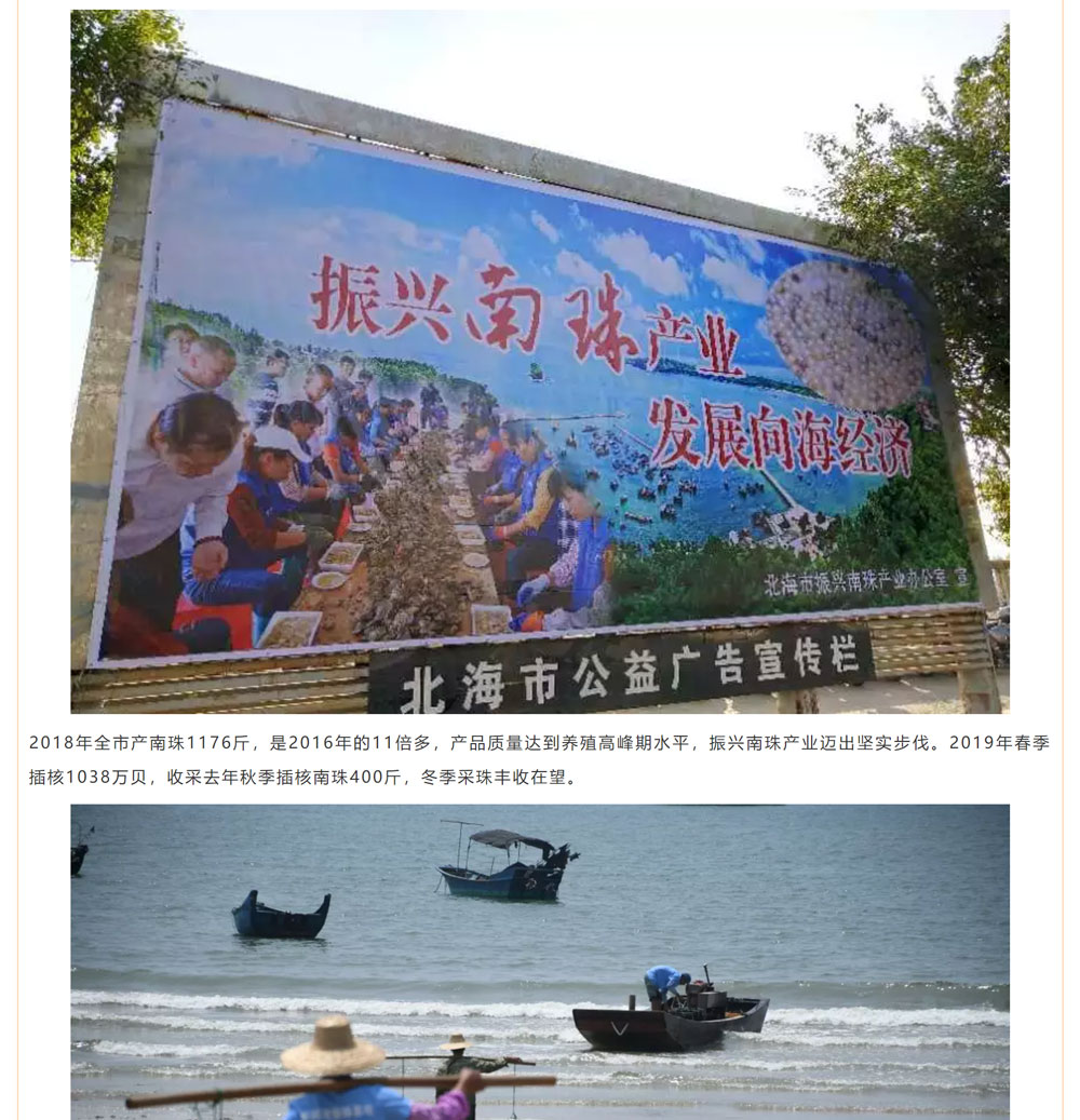 古老南珠，綻放異彩
